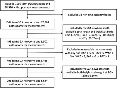 Early-life weight gain patterns of term small-for-gestational-age infants and the predictive ability for later childhood overweight/obesity: A prospective cohort study